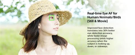 Buy Sony Alpha ILCE-7M4K Full-Frame Hybrid Camera 33MP Interchangeable ...