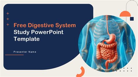 Image result for Digestive System Template