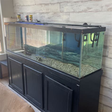 125 Gallon Tank