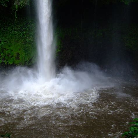 Cuchi Transfers and Tours (Jaco) - All You Need to Know BEFORE You Go