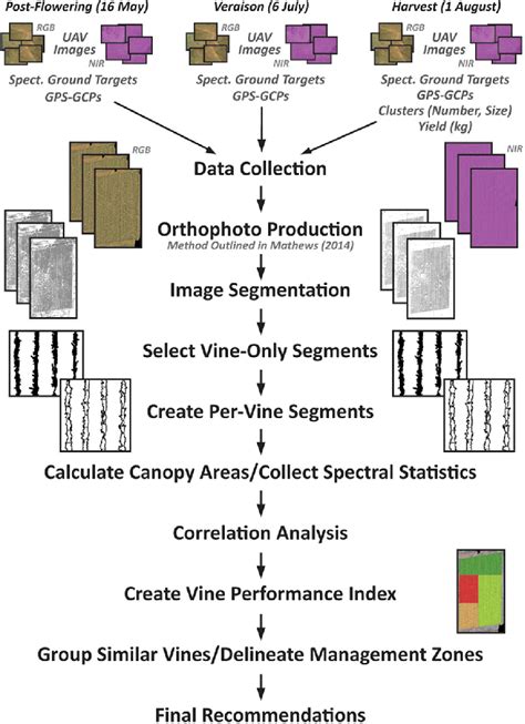 FB Data Workflow 的图像结果