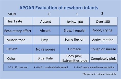 Image result for Apgar Score Notes