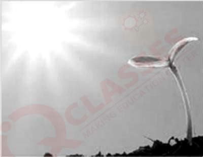 Read the following passage and answer the questions given below: The ...