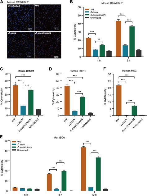 Gut bacterial type III secretion systems aggravate colitis in mice and ...