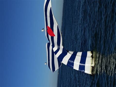 Jalilo (Arcachon) - 2021 What to Know Before You Go (with Photos ...