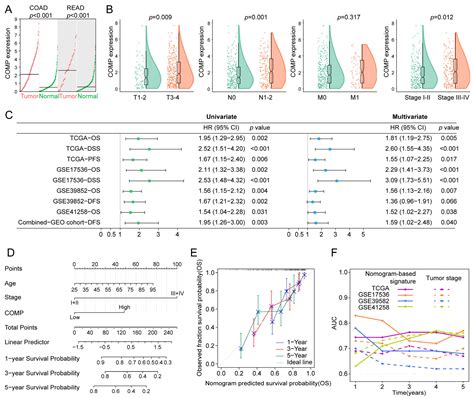 The Cancer-Associated Fibroblasts-Related Gene COMP Is a Novel ...