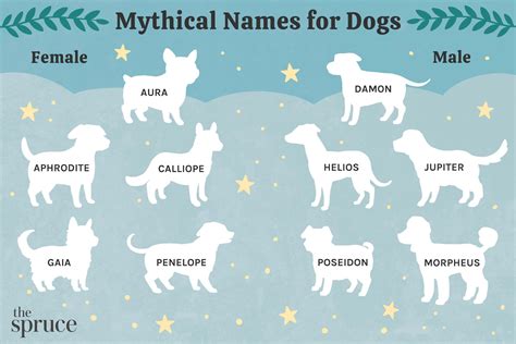 Norse Gods Names For Dogs