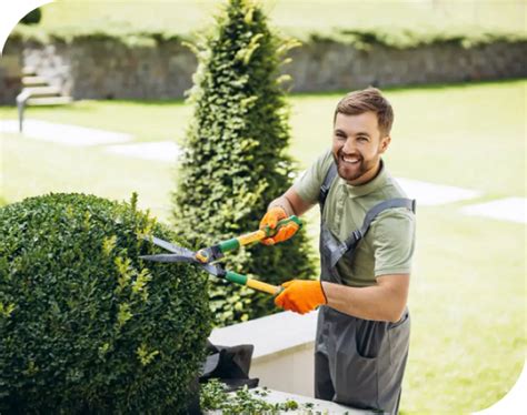 Balcony garden service provider in Pune | Book site visit!