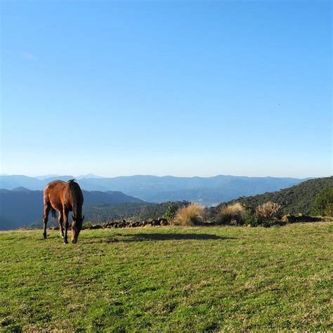 POUSADA EDELWEISS (Urubici) - Inn Reviews & Photos - Tripadvisor