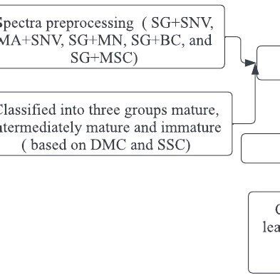 Image result for Classification Modeling
