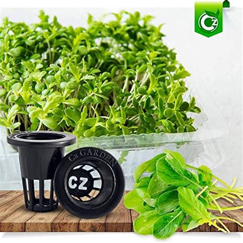 Cz Garden Supply 100 Pack - 1 inch Net Pots Cz All Star Round Heavy ...