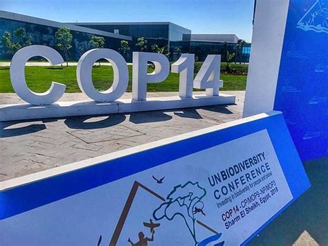 Image result for WWF Program 114