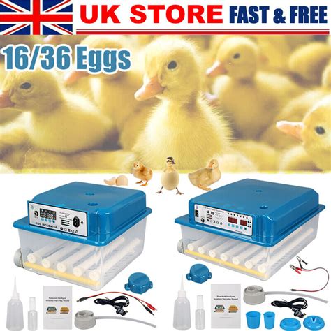 1636x Egg Digital Incubator Hatcher Temperature India | Ubuy