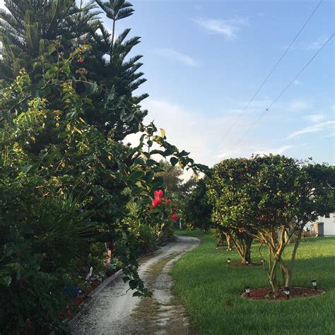 BUTTONWOOD BAY (Sebring) - Campground Reviews & Photos - Tripadvisor