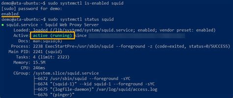 Image result for Squid Proxy Server Tutorial
