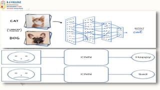 Image result for Image Classification Using CNN