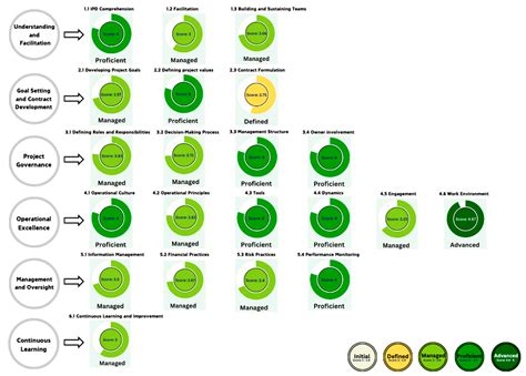 A Capability Maturity Model for Integrated Project Delivery