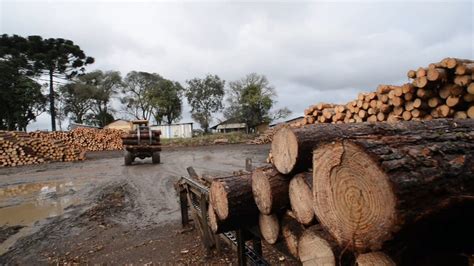 Image result for Logging Shows