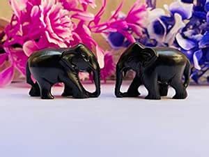 Buy ANAWARIYAS Karunugali Kattai Elephant Trunk Down/Ebony Wood ...