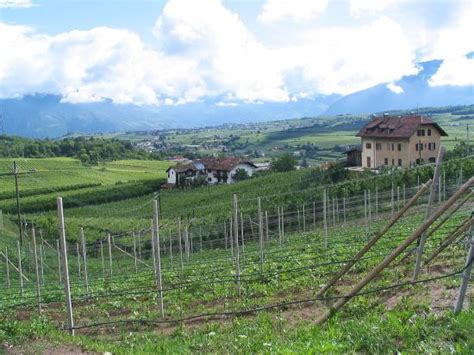 ROEMERRAST HOTEL (Caldaro sulla Strada del Vino) - Hotel Reviews ...