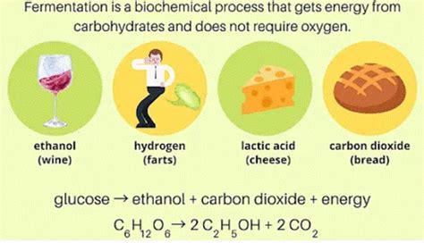 Fermentation Process in Chemistry: Definition, Types and Importance | AESL