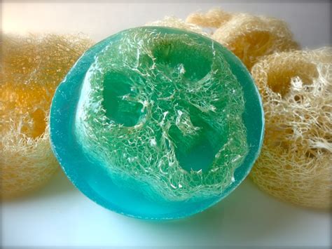 Image result for Loofah Tutorial