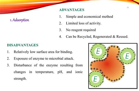 2.Introduction to Enzyme biotechnology.pptx