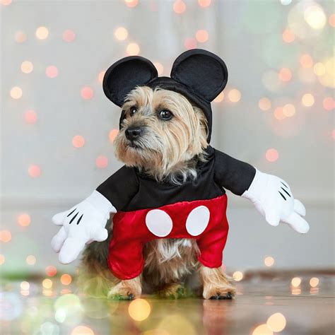 Mouse Dog Outfits at Judy Moore blog