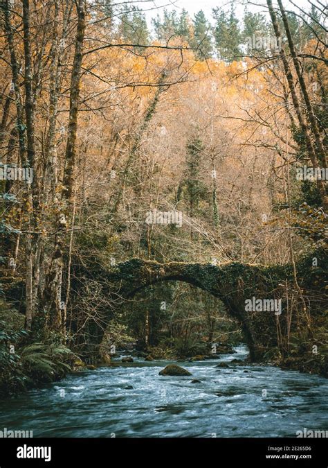 Image result for Arch Structure