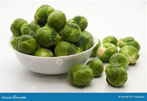 Brussels sprouts cabbage stock image. Image of freshness - 49754773