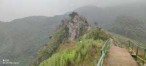 Top 17 things to do in Gudalur (Updated Jan 2025)