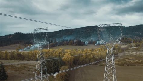 Biomedical Engineer vs Electrical Engineer 的图像结果