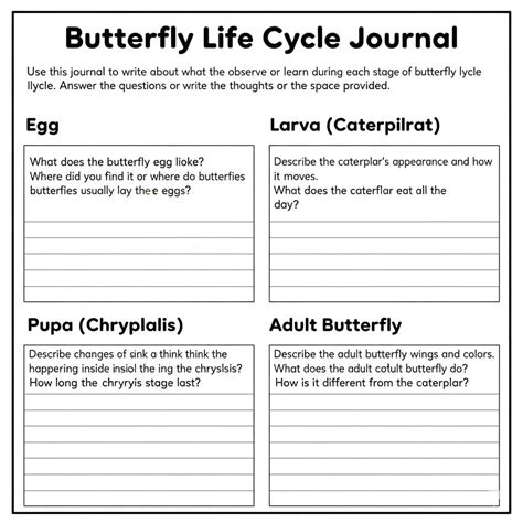 Butterfly Life Cycle Worksheet