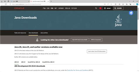 Java Installer and Runner 的图像结果