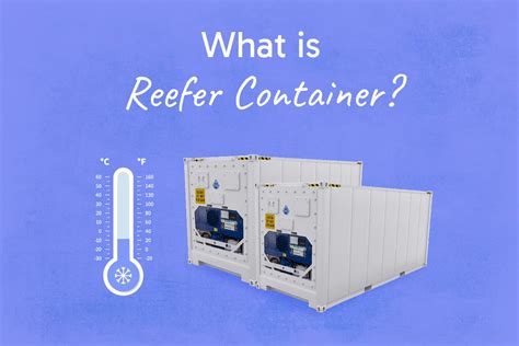 Image result for Sorting in Reefer Container