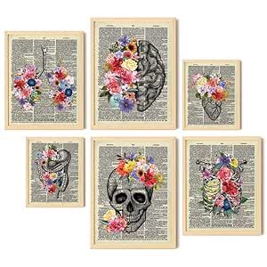 Human Anatomy Posters - Medical Posters, Skeletal, Male Female Muscular ...