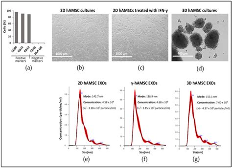 Biology | Special Issue : Mesenchymal Stem Cells: What We Have Learned ...