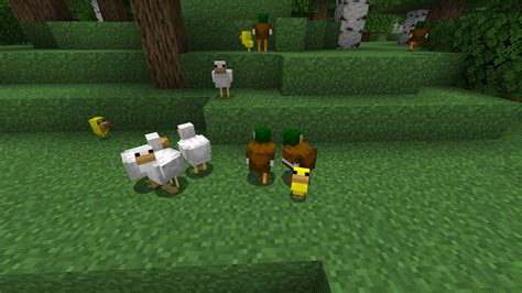 Image result for Entity Texture Features Tutorial