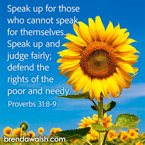 Image result for Distributive Justice Scripture