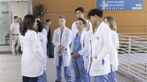 'Grey's Anatomy' Season 19 Premiere Shepherds in New Interns (RECAP) - index of grey's anatomy