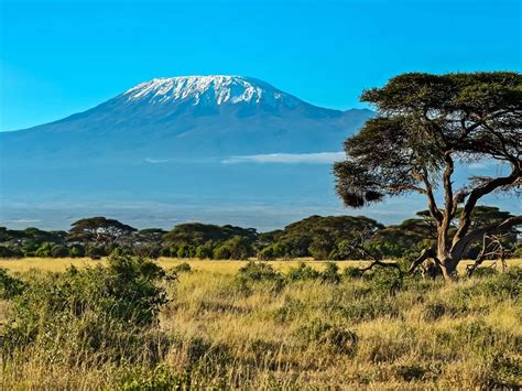 Mount Kenya • Kenya • African Safari