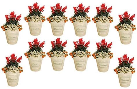 GARDEN KING Metal Planters (Color: Cream, Set of 12 PCs) : Amazon.in ...