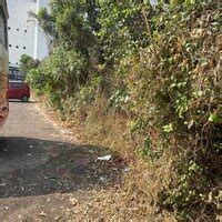 City & Industrial Development Corporation [CIDCO] — Not cleaning ...