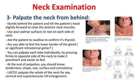 Thyroid History and Physical Examination | PPTX