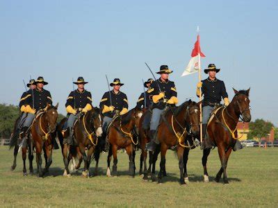 Image result for Cavalry Strings Array