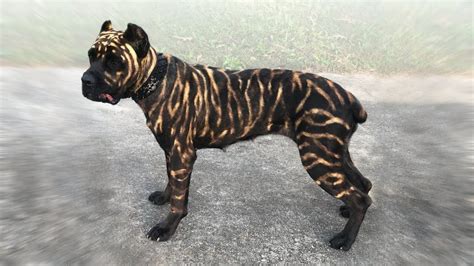 Unusual Dogs 的图像结果