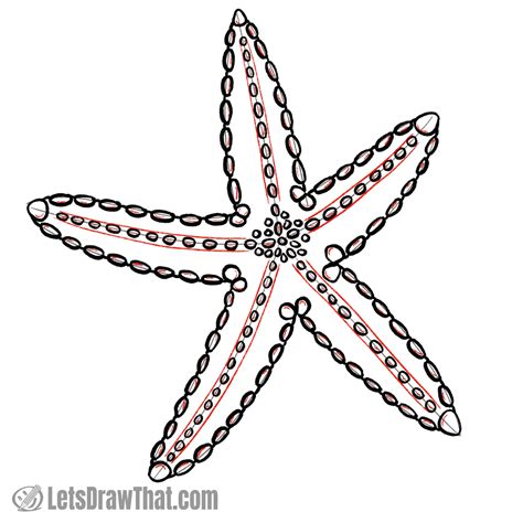 Starfish Drawings