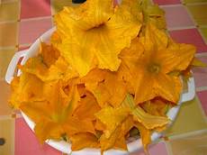 foto fiori di zucca ricette con fiori di zucca foto fiori di zucca ricette con fiori di zucca