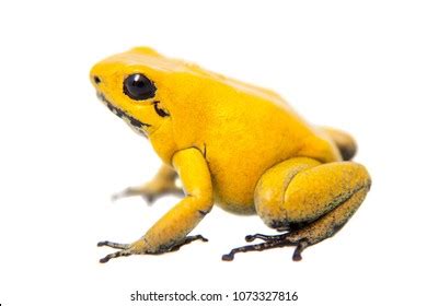 Image result for Python Post Conditioned Loop
