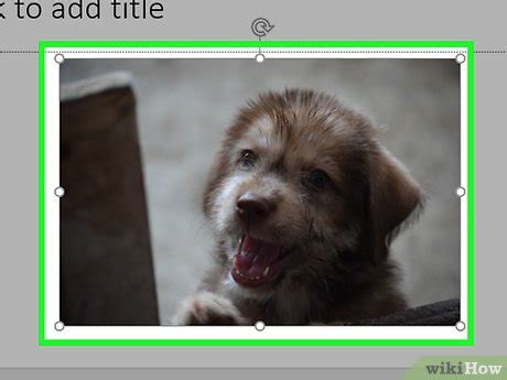 Compress PowerPoint File Size 的图像结果
